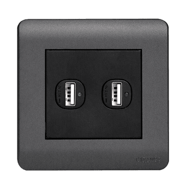 SCINTILLA 2.1Amp. 2Gang Type-A USB Charger Outlet B/Matte with GM/Matte Surround