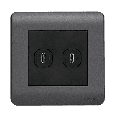 SCINTILLA 2.1Amp. 2Gang Type-C USB Charger Outlet B/Matte with GM/Matte Surround