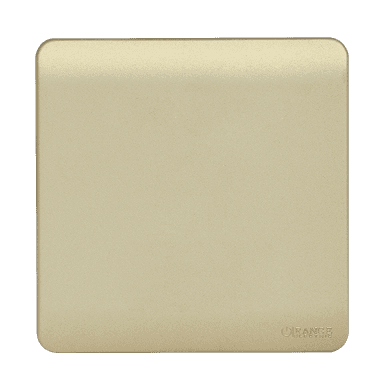 SCINTILLA Blank Plate with Removable Plug B/Matte with Gld/Matte Surround