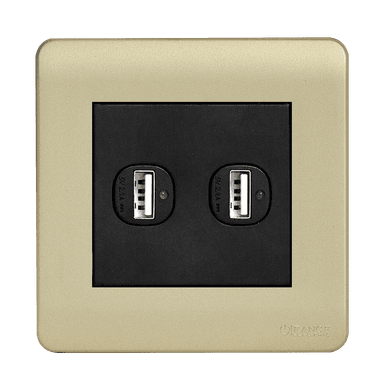SCINTILLA 2.1Amp. 2Gang Type-A USB Charger Outlet B/Matte with Gld/Matte Surround