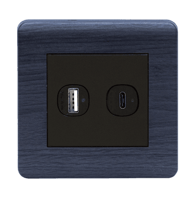 SCINTILLA 2.1Amp Type A + Type-C USB Charger Outlet B/Matte with Kaluwara Surround